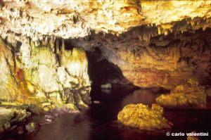 capocaccia34_15