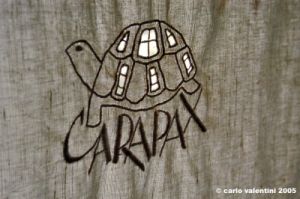 carapax01