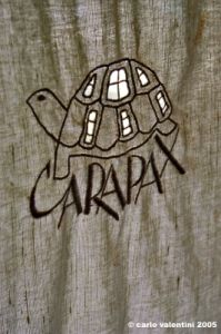 carapax02