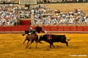 siviglia125_29