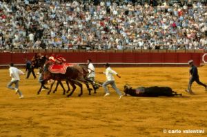 siviglia125_35