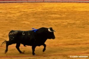 siviglia125_37