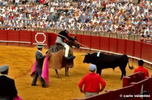 siviglia125_39