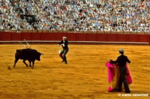 siviglia125_42
