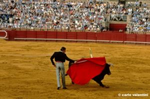 siviglia125_50