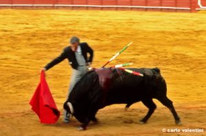 siviglia126_01