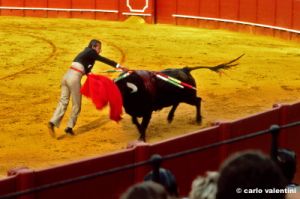 siviglia126_05