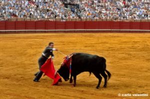 siviglia126_08