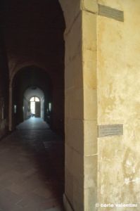 firenze858_50