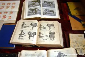 museo_delle_carrozze012