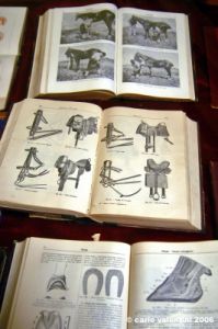museo_delle_carrozze013