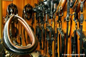 museo_delle_carrozze039