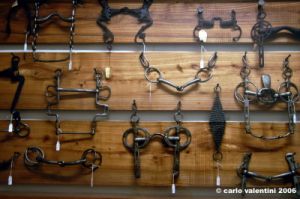 museo_delle_carrozze046