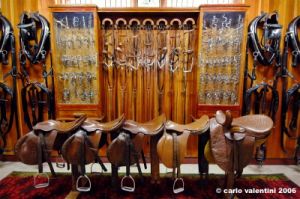 museo_delle_carrozze047