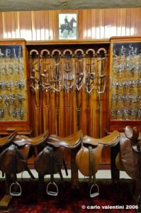 museo_delle_carrozze048