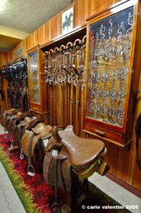 museo_delle_carrozze050