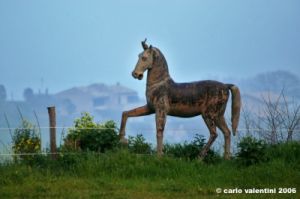 ippodromo_mori02