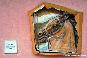 museo_trotto013
