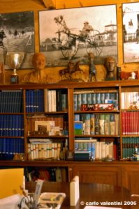 museo_trotto047