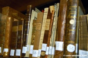 museo_trotto050