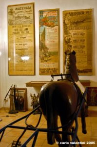 museo_trotto053