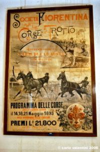 museo_trotto071