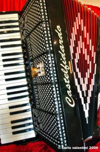 big_fisarmonica007