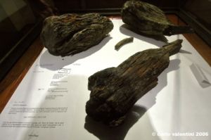 museo_miniere28