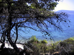 alonnisos15_010902