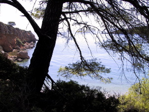 alonnisos16_010902