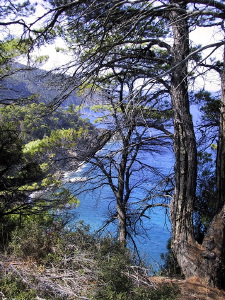 alonnisos22_010904