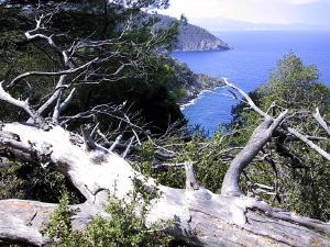 alonnisos24_010904
