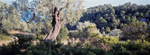 alonnisos61_106