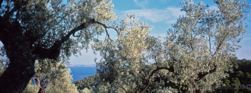 alonnisos61_108