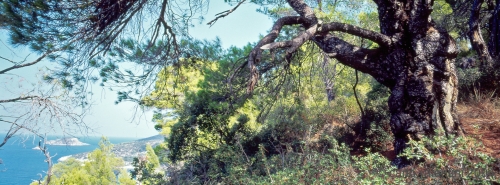 alonnisos61_333