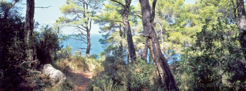 alonnisos61_427