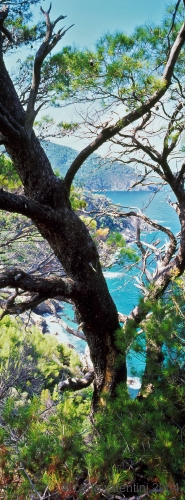 alonnisos61_431