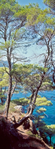 alonnisos61_524