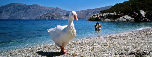 fourni07_602