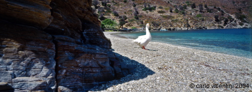 fourni08_136