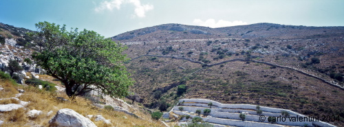 fourni09_203