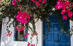 koufonissi35_231