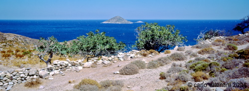 leros19_134