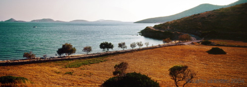 lipsi12_401