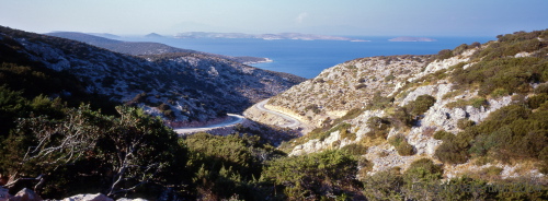 lipsi12_403
