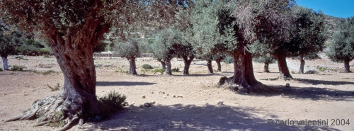 lipsi16_232