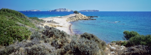 lipsi17_401