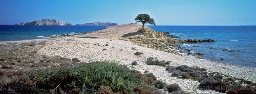lipsi17_524