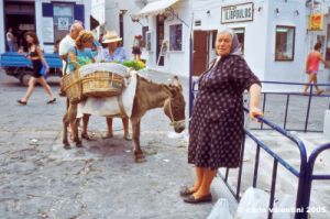mikonos686_11