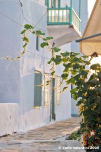 mikonos687_41